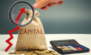 canvas bag reading "capital" next to an arrow pointing up and surrounded by coins