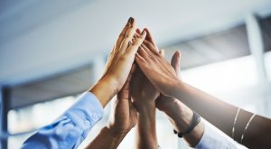 Government staffing contracts